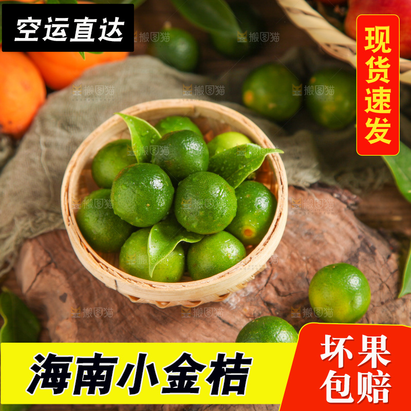 篮子里装着小金桔