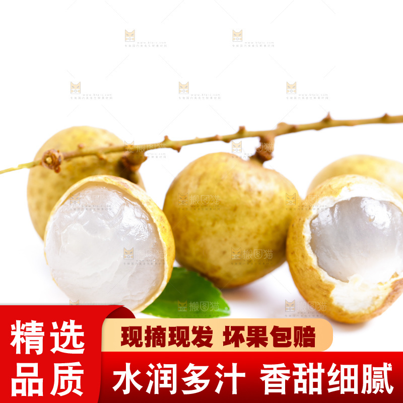 白底上的龙眼