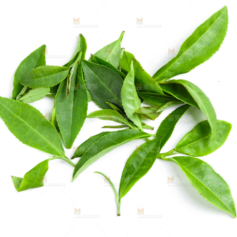 白底上摆放着茶叶子