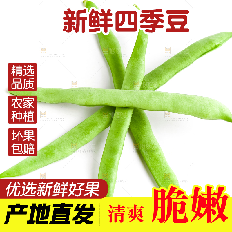 白底上的四季豆