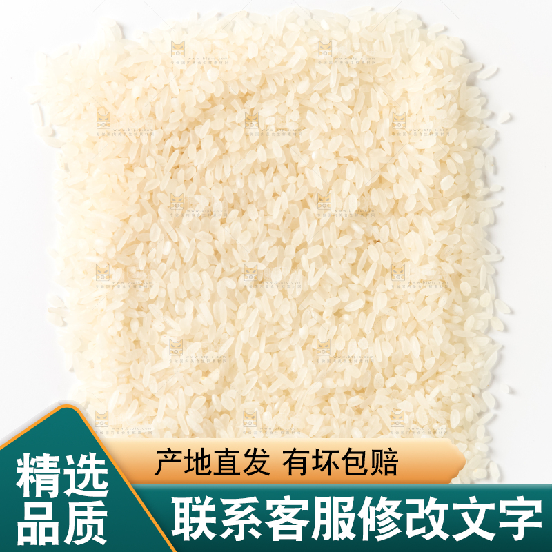 白底上的大米