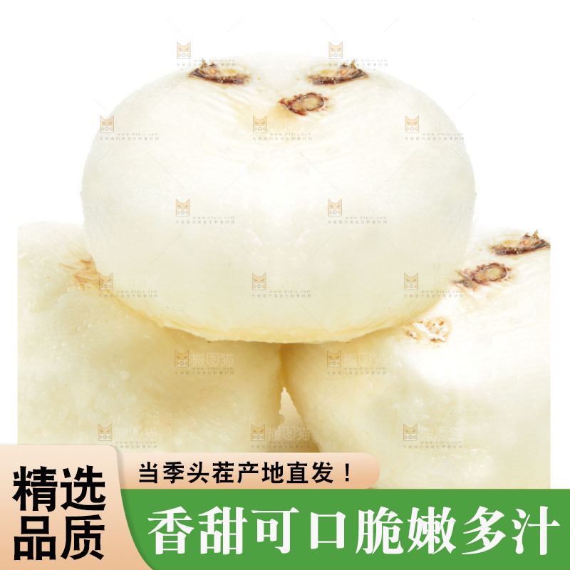 白底上摆放着广西荔浦马蹄
