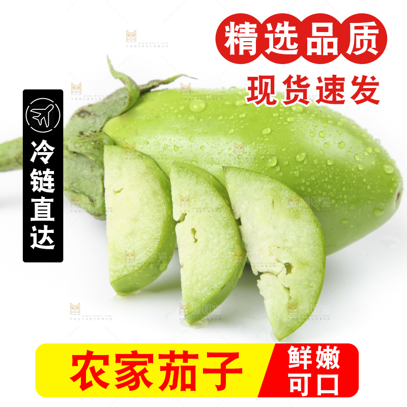 白底上放着青皮茄子