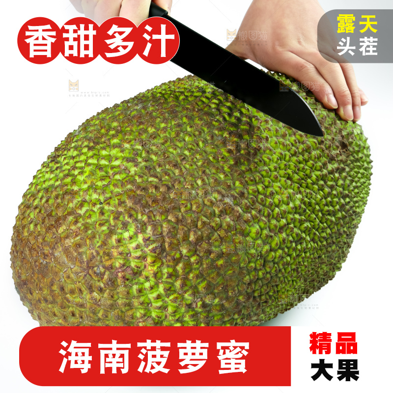 白底上的越南菠萝蜜