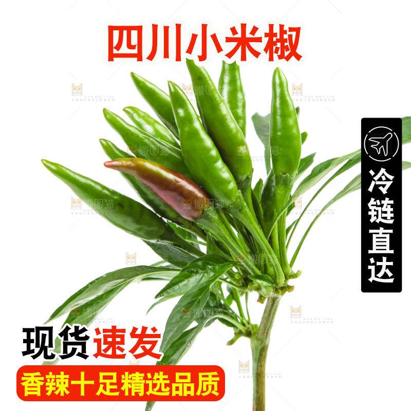 白底上的小米椒