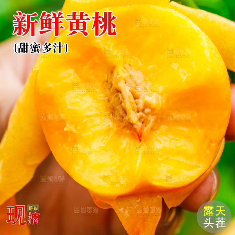 手里拿着剥皮了的黄肉毛桃