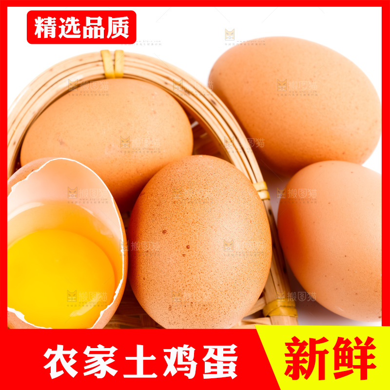 白底上的柴鸡蛋
