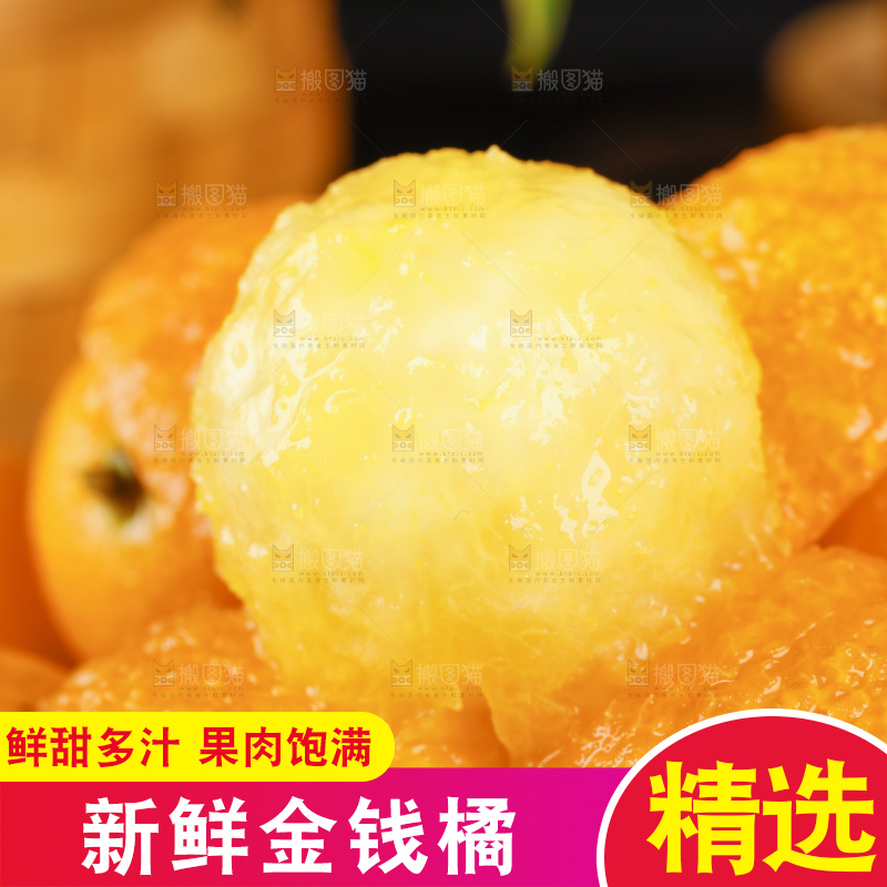 黑底上的小金桔