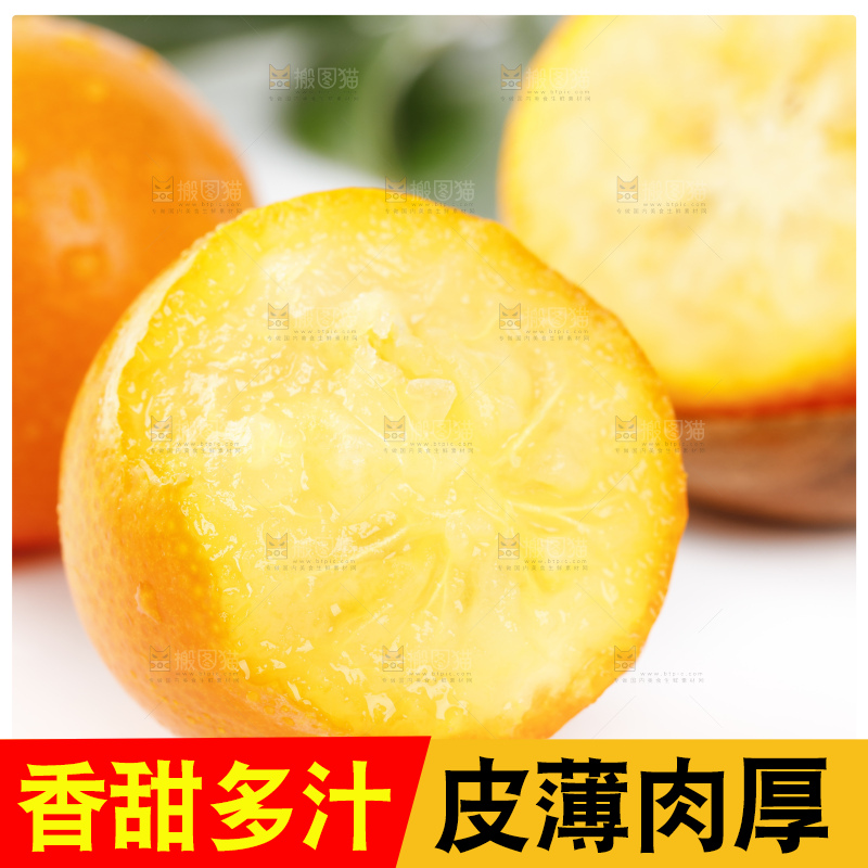 白底上的金桔