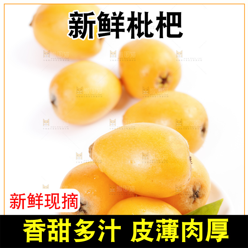 白底上的米易枇杷