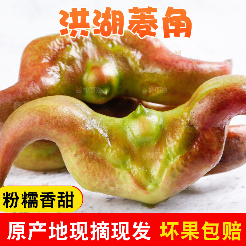 白底上的菱角