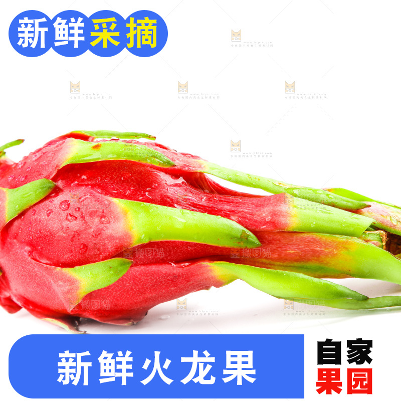 新鲜火龙果放在白底上