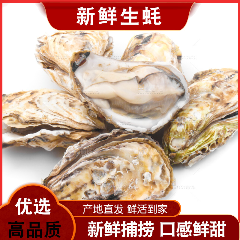 浅底上的生蚝