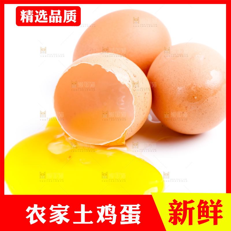 白底上的新鲜鸡蛋