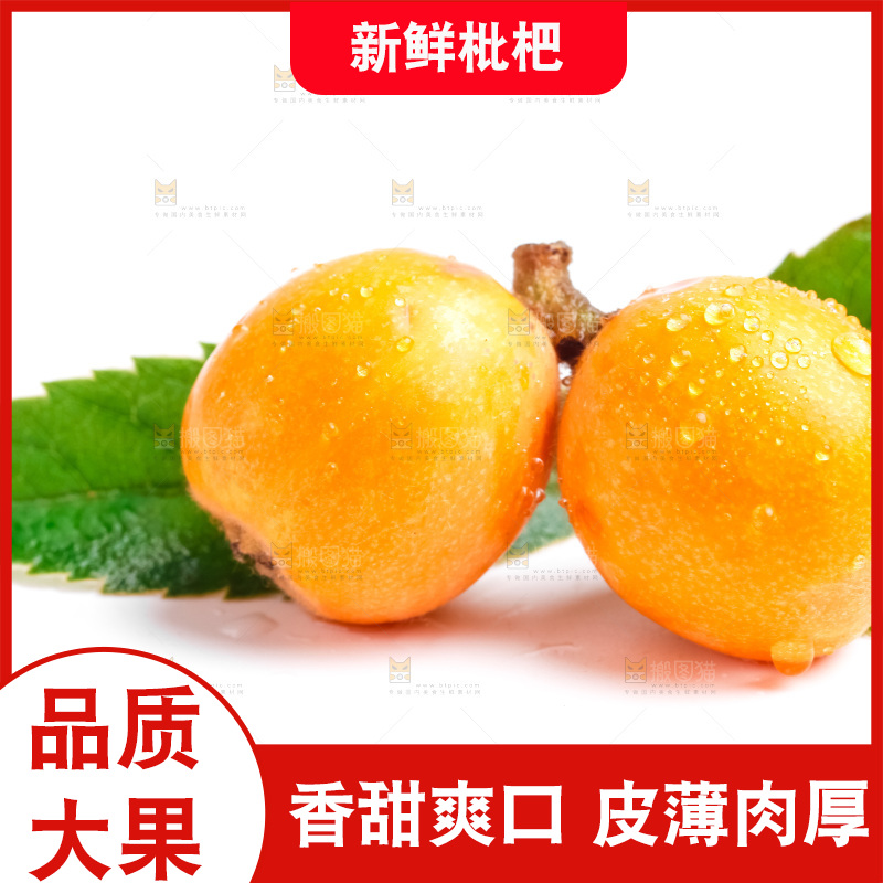 浅底上摆放着枇杷果