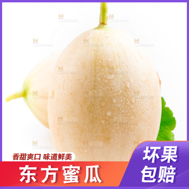 白底上的东方蜜瓜