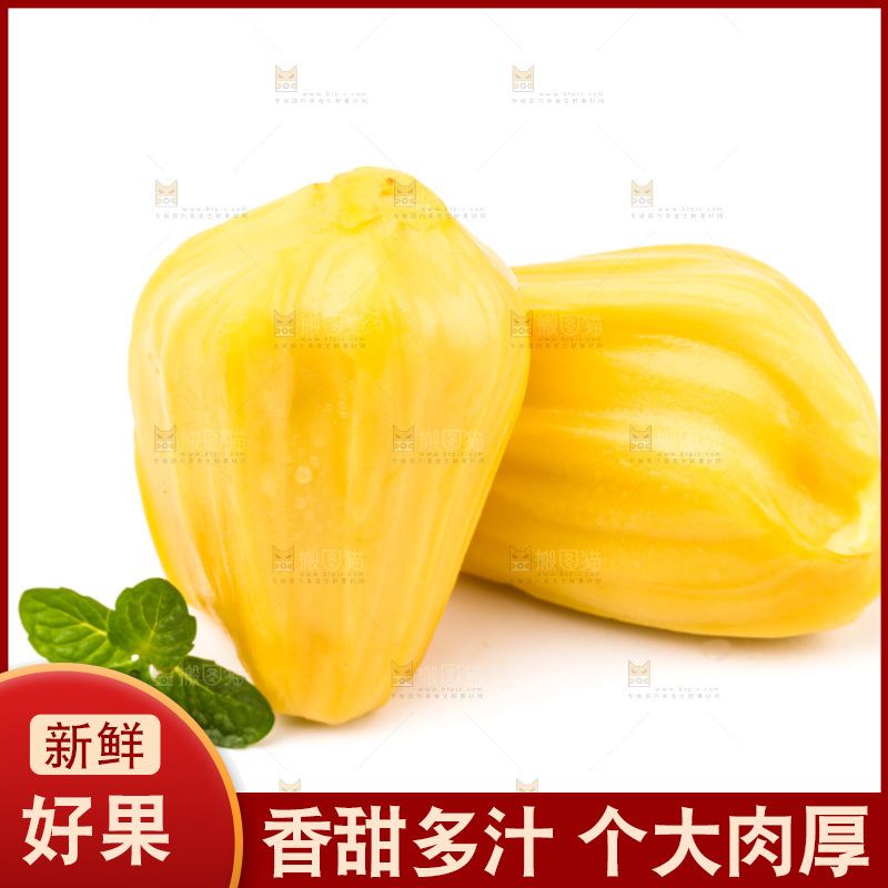 浅底上的黄肉菠萝蜜