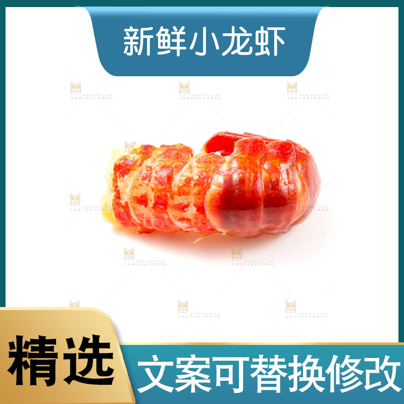 白底上的龙虾尾