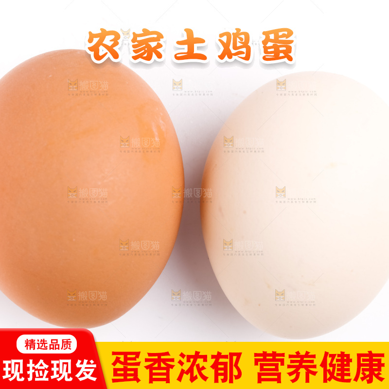 新鲜柴鸡蛋放在白底上