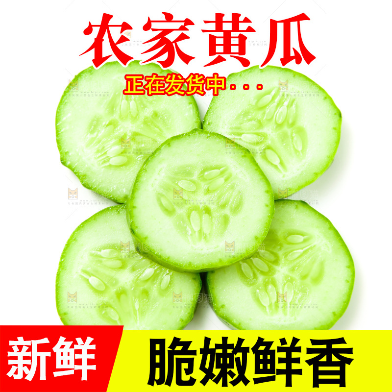 白底上放着旱黄瓜