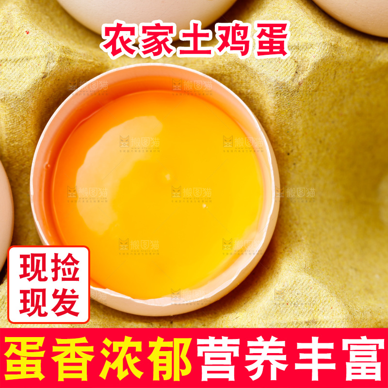 白底上的土鸡蛋