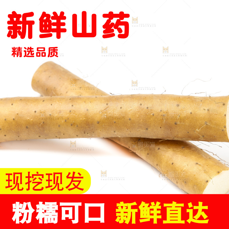 浅底上的新鲜山药