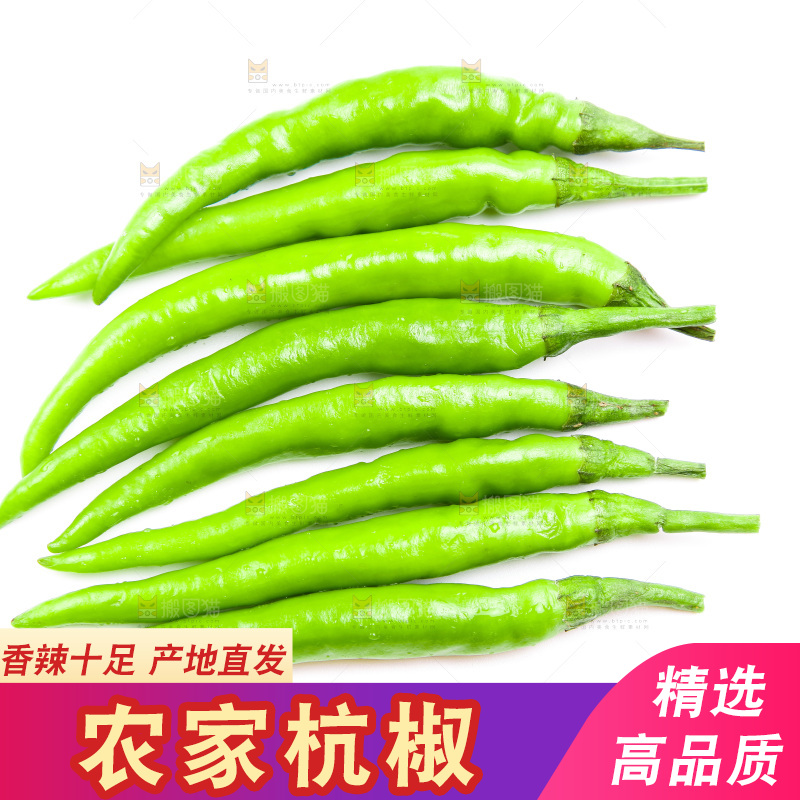 白底上放着杭椒