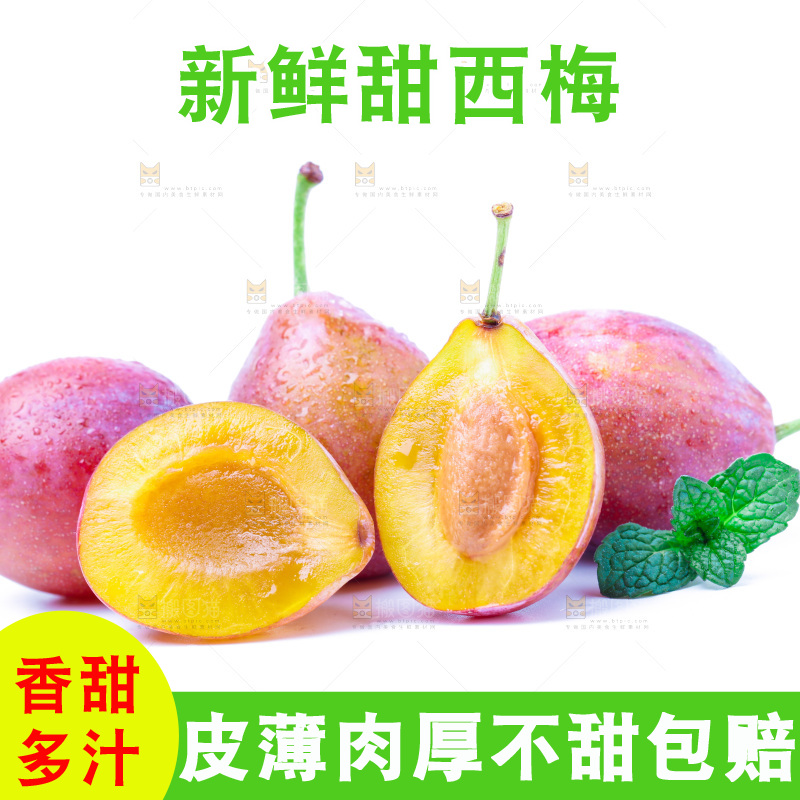 浅底上的新疆西梅