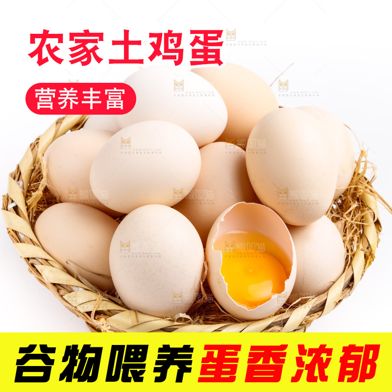 新鲜柴鸡蛋放在白底上