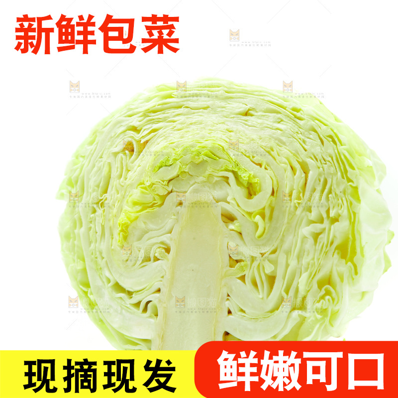 白底上的包菜