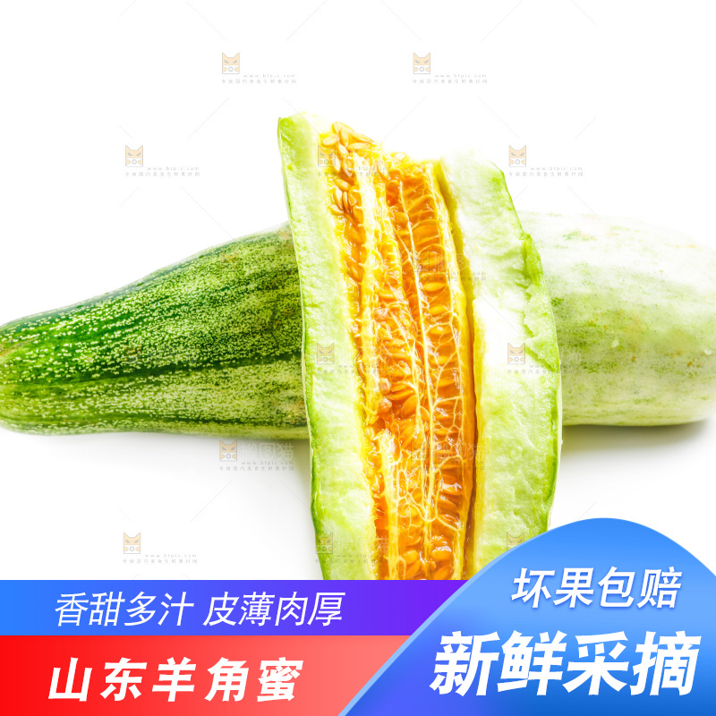 新鲜羊角蜜放在白底上