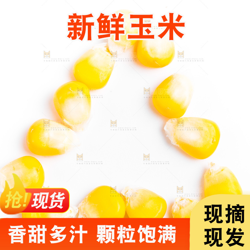 白底上的甜玉米