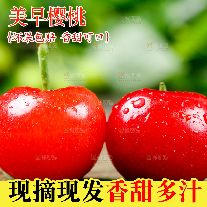 木底上的烟台樱桃