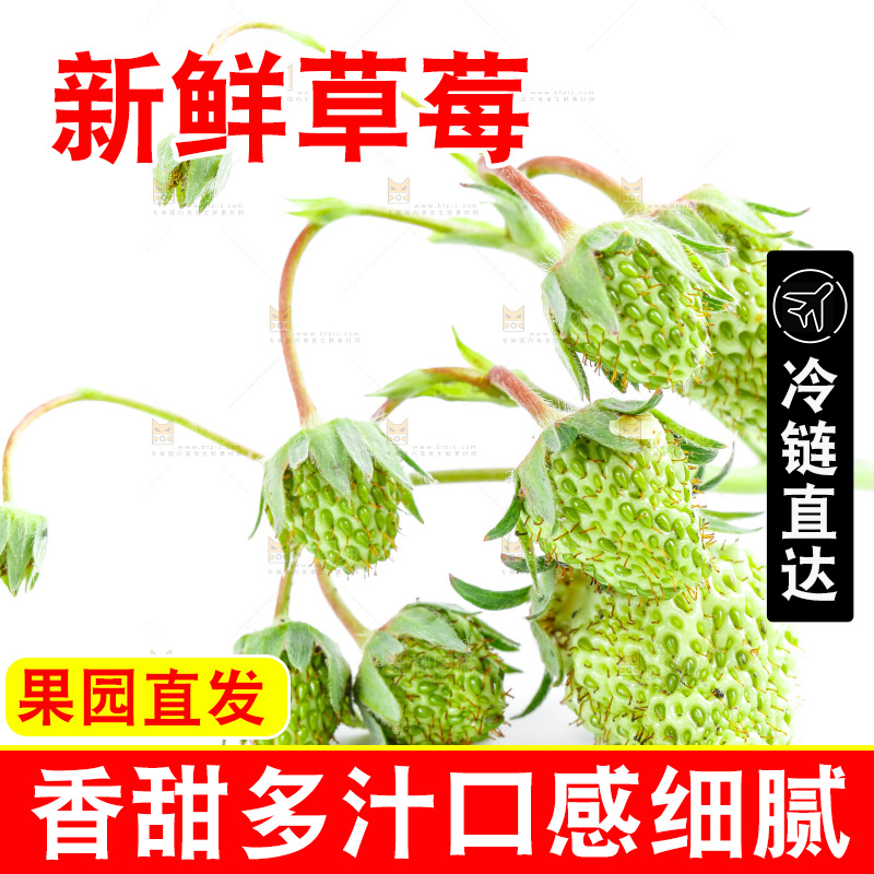白底上的新鲜草莓