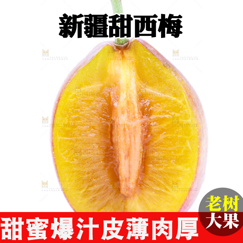 浅底上的新疆西梅