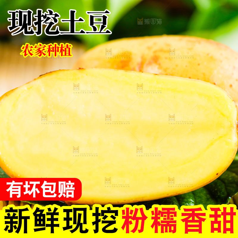 浅底上放着云南黄心土豆