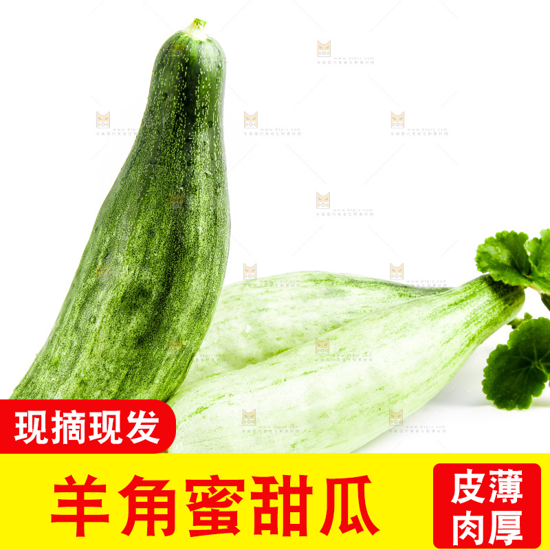白底上的山东羊角蜜甜瓜