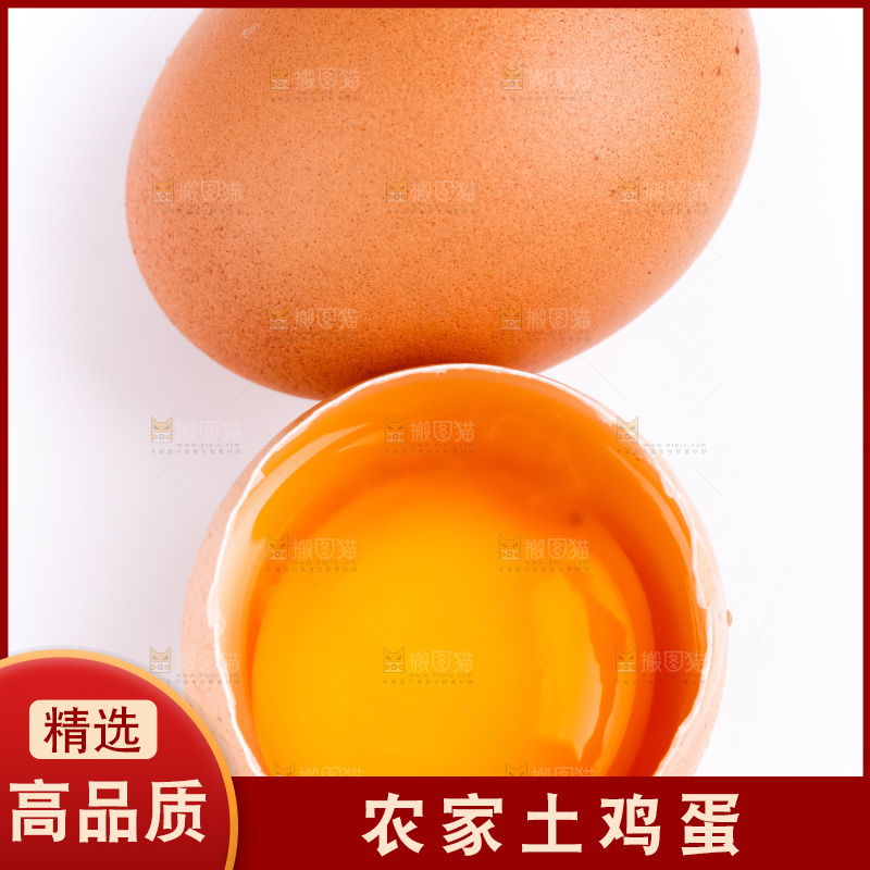 白底上的新鲜鸡蛋