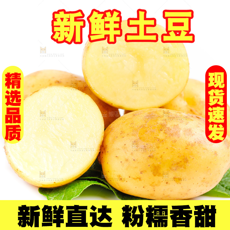 白底上的土豆