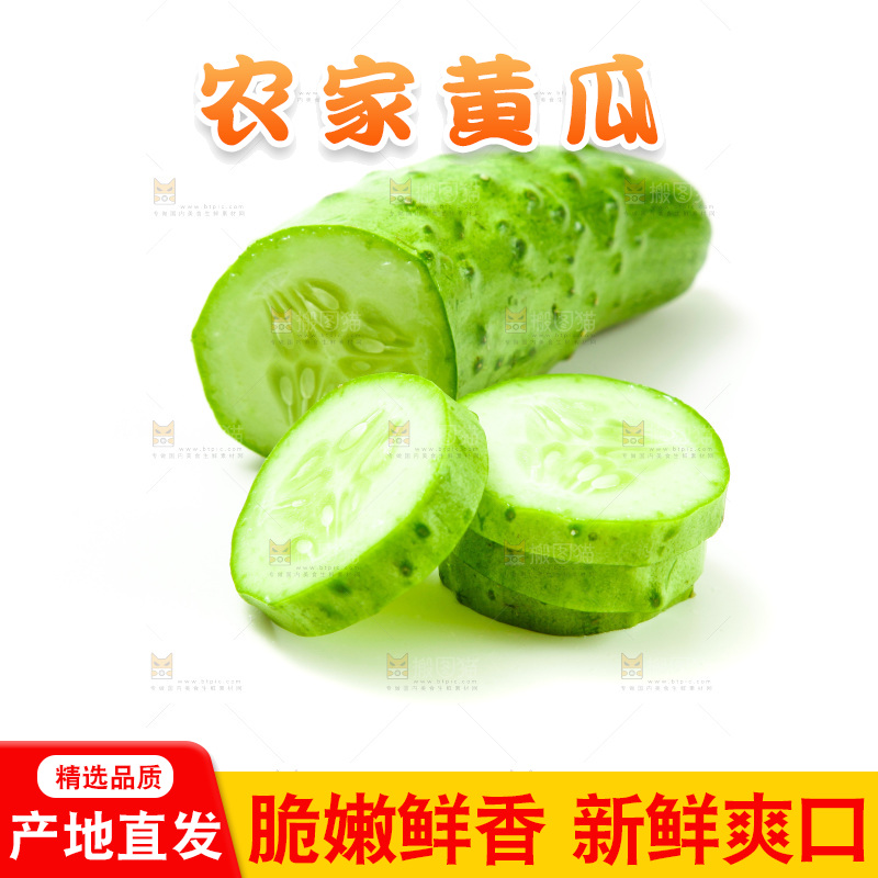 白底上放着旱黄瓜