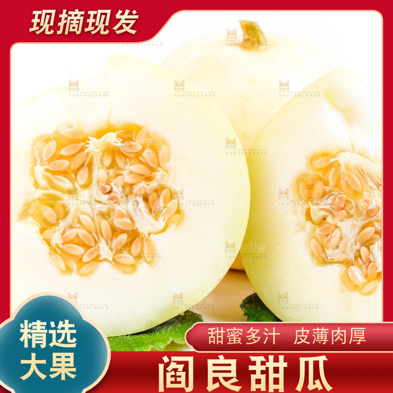 新鲜阎良甜瓜放在白底上