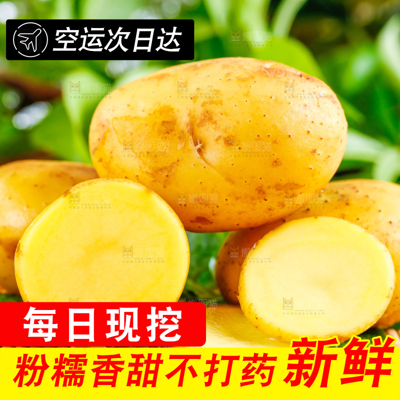 浅底上放着云南黄心土豆