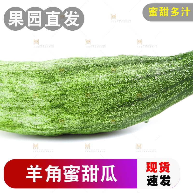 白底上的山东羊角蜜甜瓜