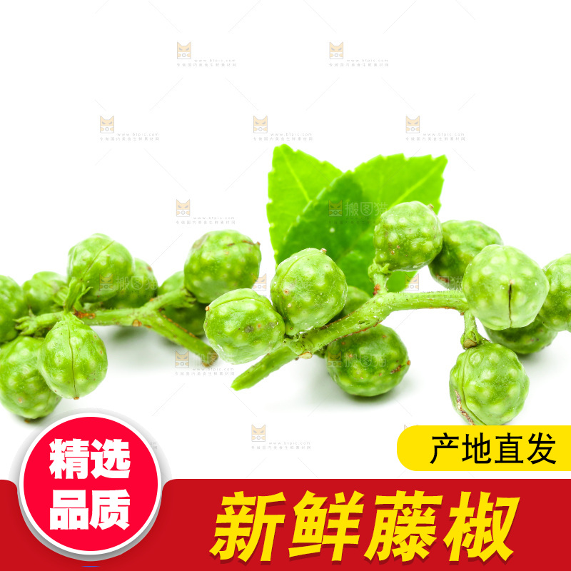 白底上的青花椒