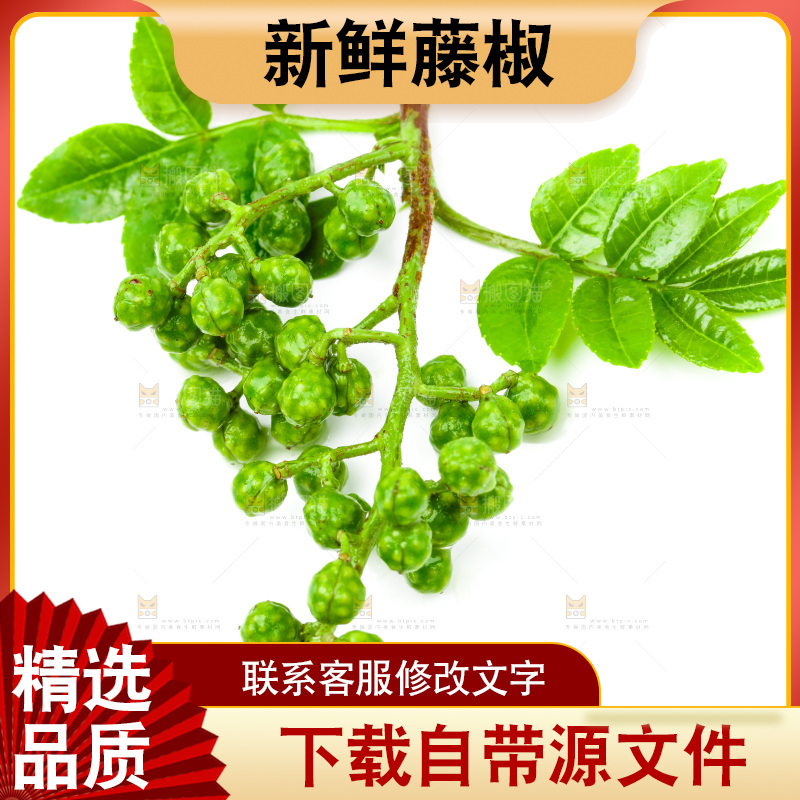 白底上的藤椒