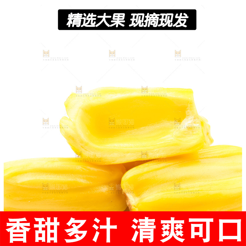 浅底上的海南菠萝蜜