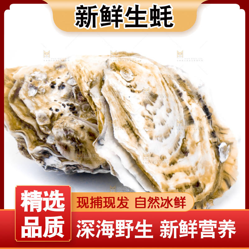 白底上的乳山生蚝