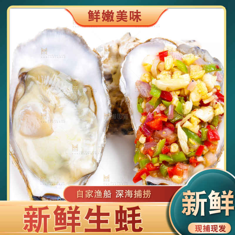 白底上的乳山生蚝