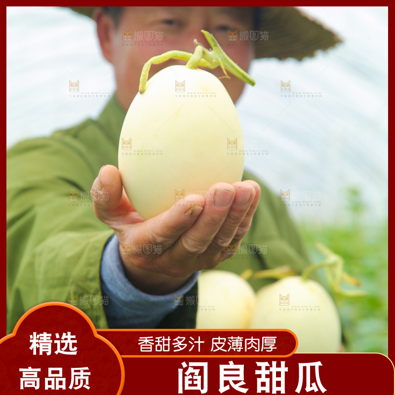 手里拿着阎良甜瓜