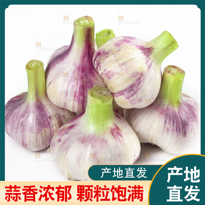 一堆新鲜紫皮大蒜